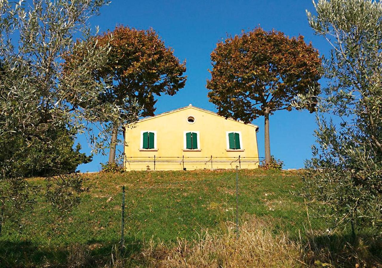 B&B Santa Caterina Аквавива-Пичена Номер фото